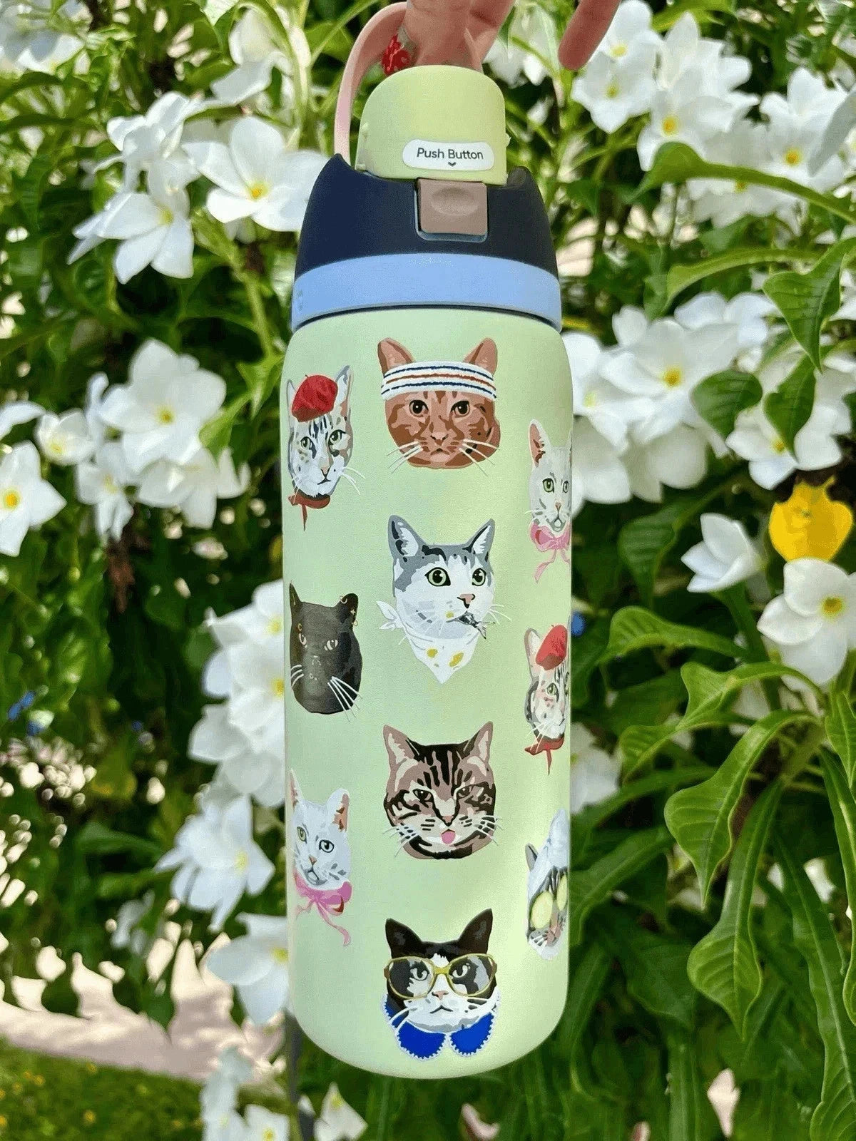 Owala Stainless Bottle 32 oz Urban Outfitters Exclusive Cat Collage New